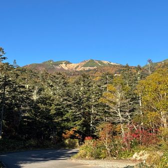 登山道と車道が交わる独特の構造　