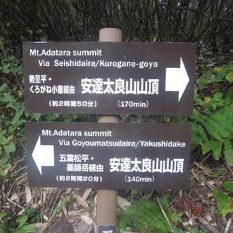 １５時１７分、登る時に左に進んだ分岐点に到着。
