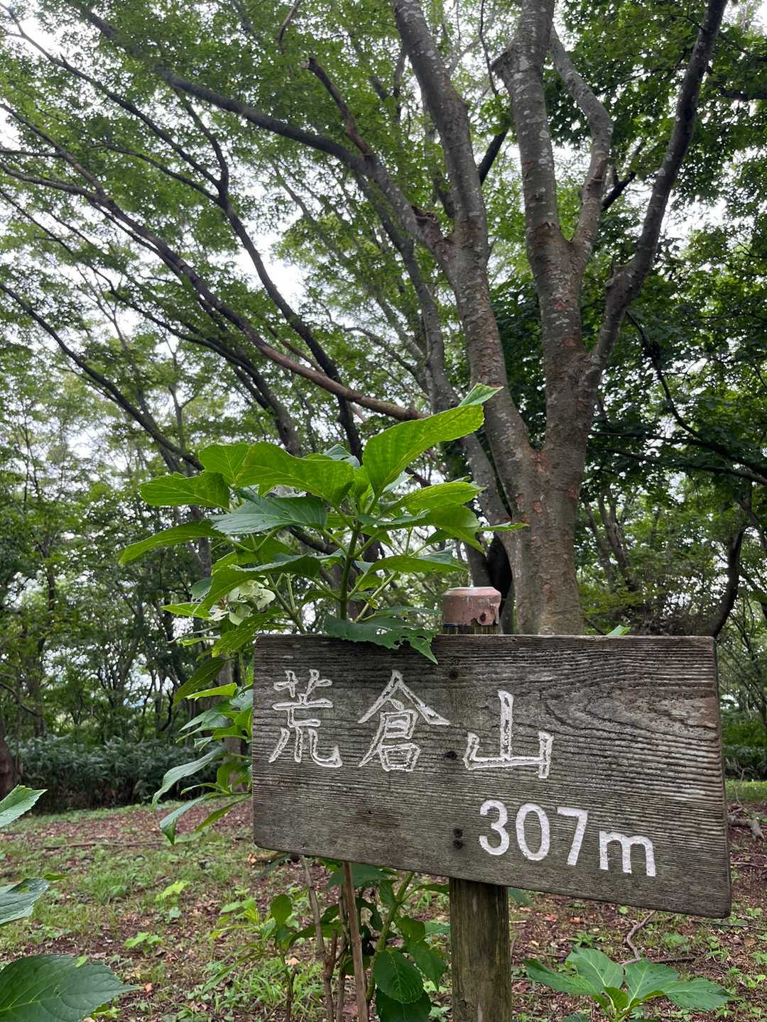 307mですが楽しめました！