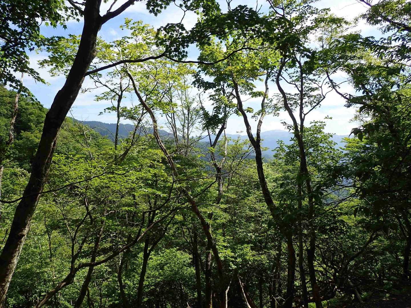 右手に、今度は比良山系の山々がチラリ。