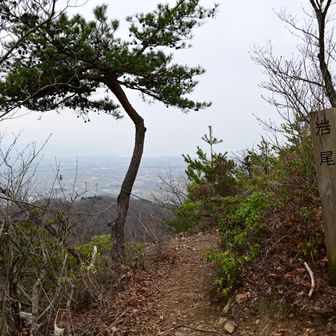 岩尾、展望ポイント
今にも泣き出しそうな空なので
先を急ぎます
