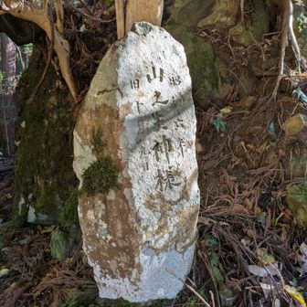 修正するのはいつものこと🫠
なんとか本来の登山道に戻って
そこからてくてく車道を