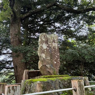 津久井城山に到着