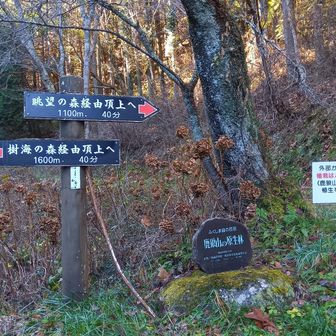 どちらに行こうか迷ってたらトレランのお兄さんが右に行ったのでついていった。この日は札をつけた人達がトレランしてました。大会やってたのかな？