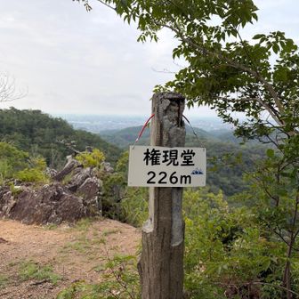 権現堂
