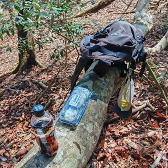 豆大福を頂きます⚪