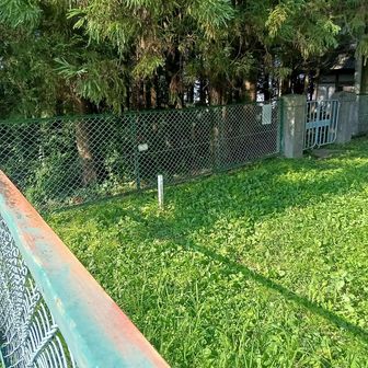 ネットの中の敷地に三角点