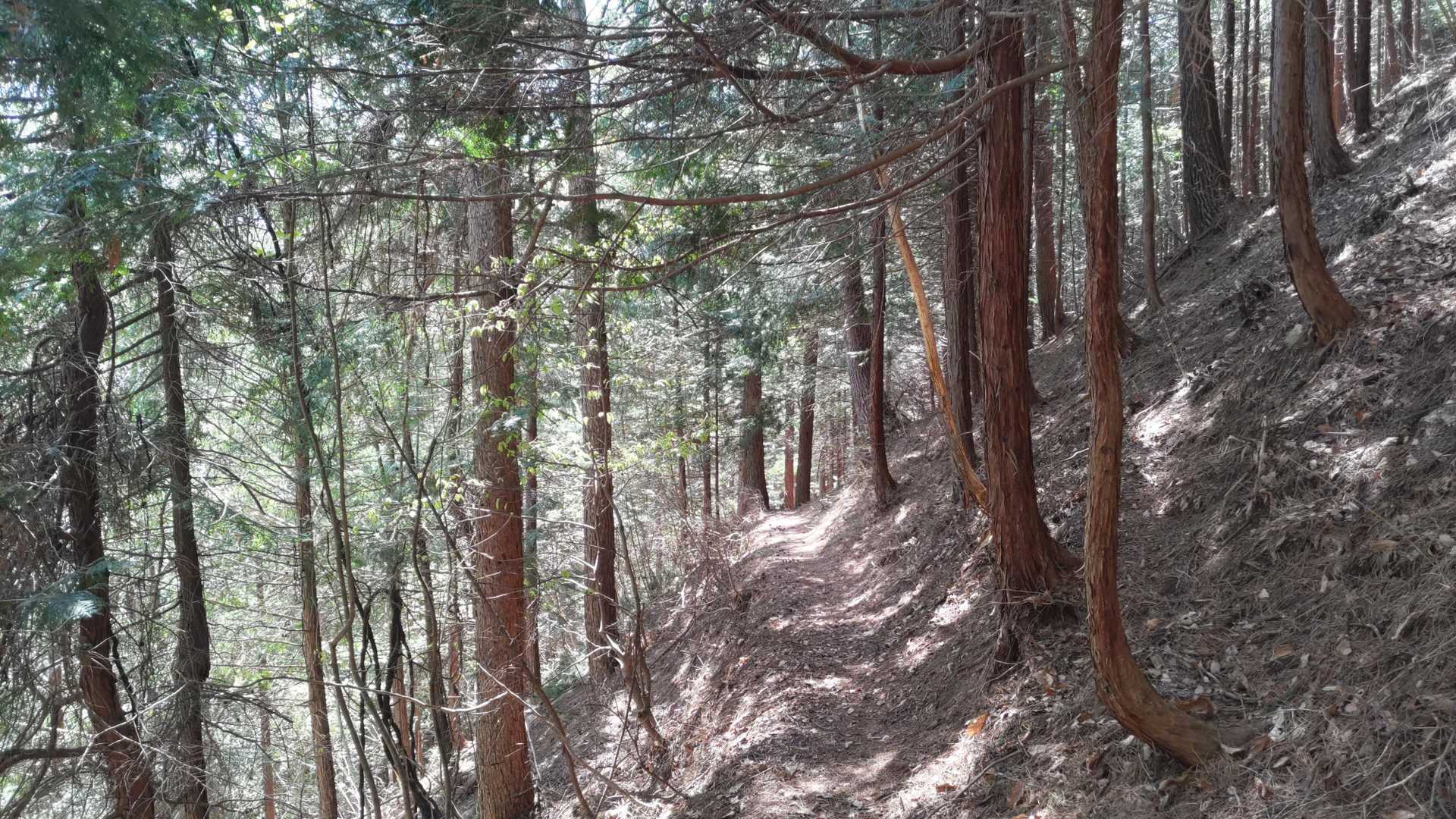 暑すぎず、快適な陽気😄