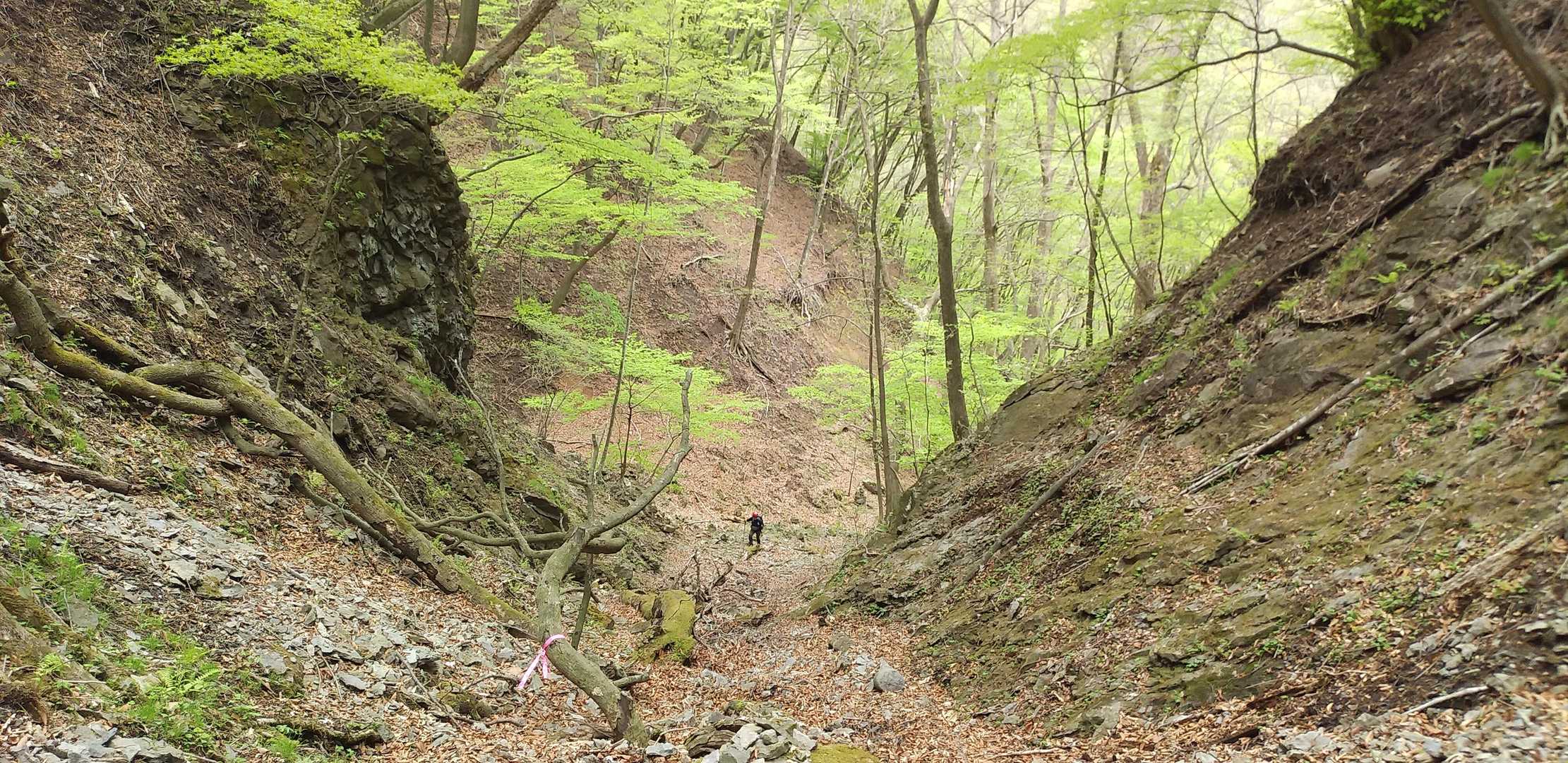 入山する人が少ないのだろう
トレースが無いので
ピンテとヤマップの軌跡を見ながら
適当に進みます💨
アドベンチャー感MAXです！
