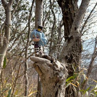 ヒィギアが縛り付けられてる