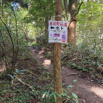 帰りまふ