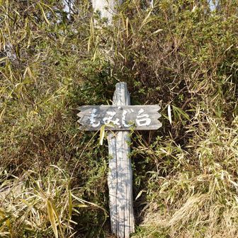 ここも眺望無し。特に登る必要がない。