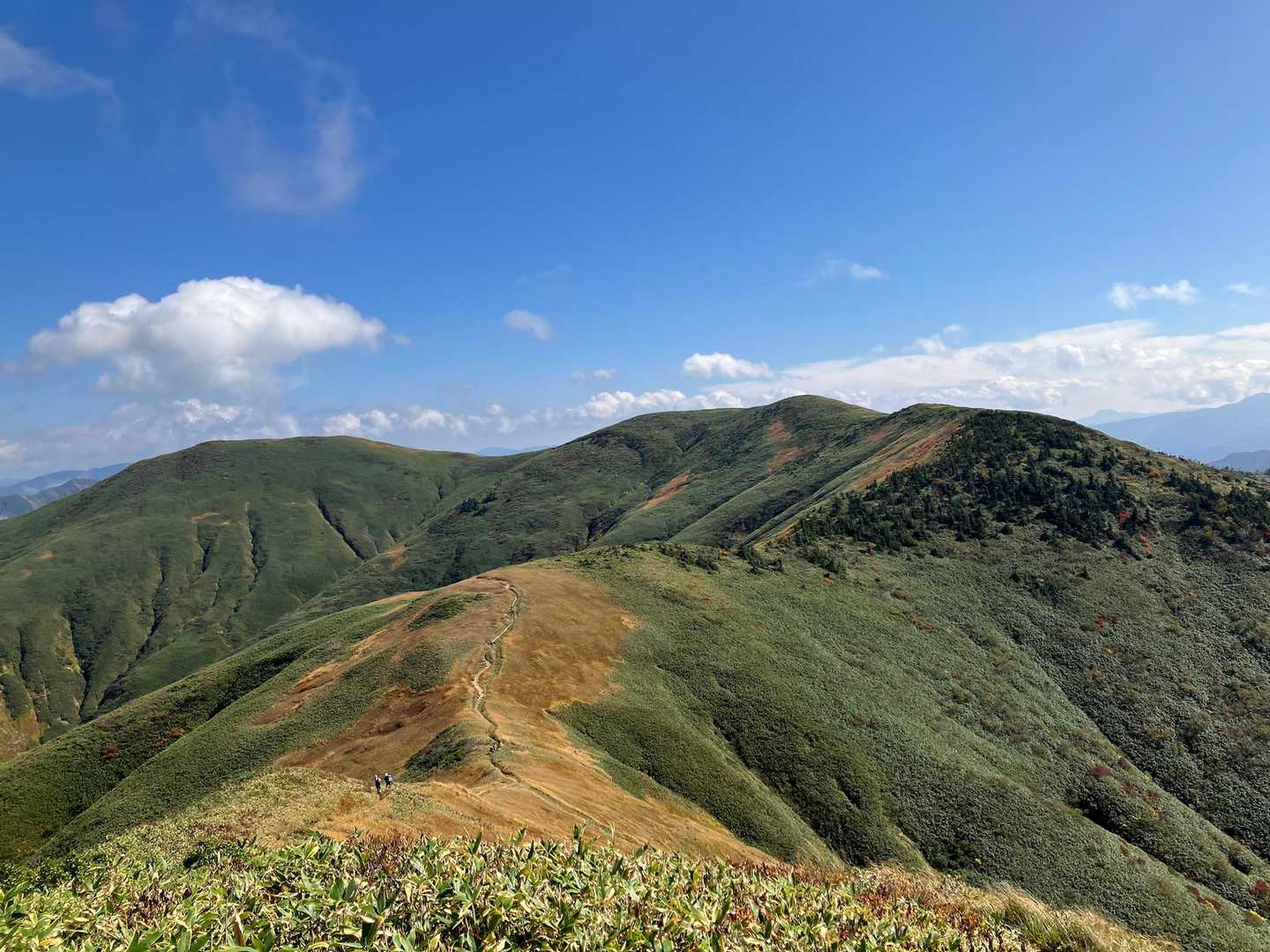 巻機山登山口-割引岳-巻機山-前巻機 周回コースの写真