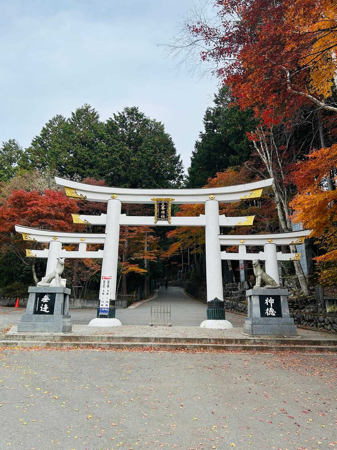 三峰ビジターセンター-妙法ヶ岳-地蔵峠-霧藻ヶ峰 周回コースの写真