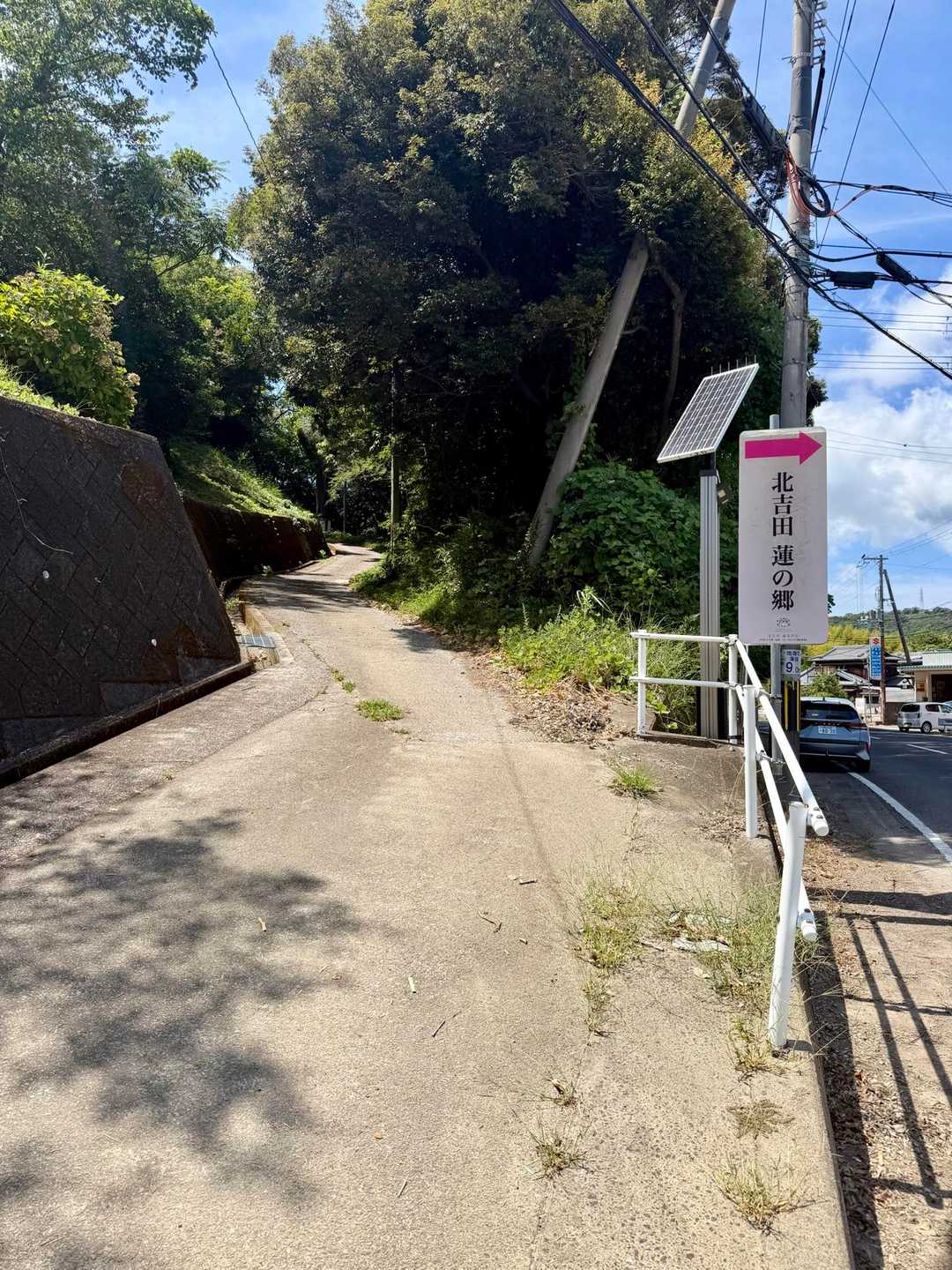 この先にグレーピークの八幡山があるので寄り道します。