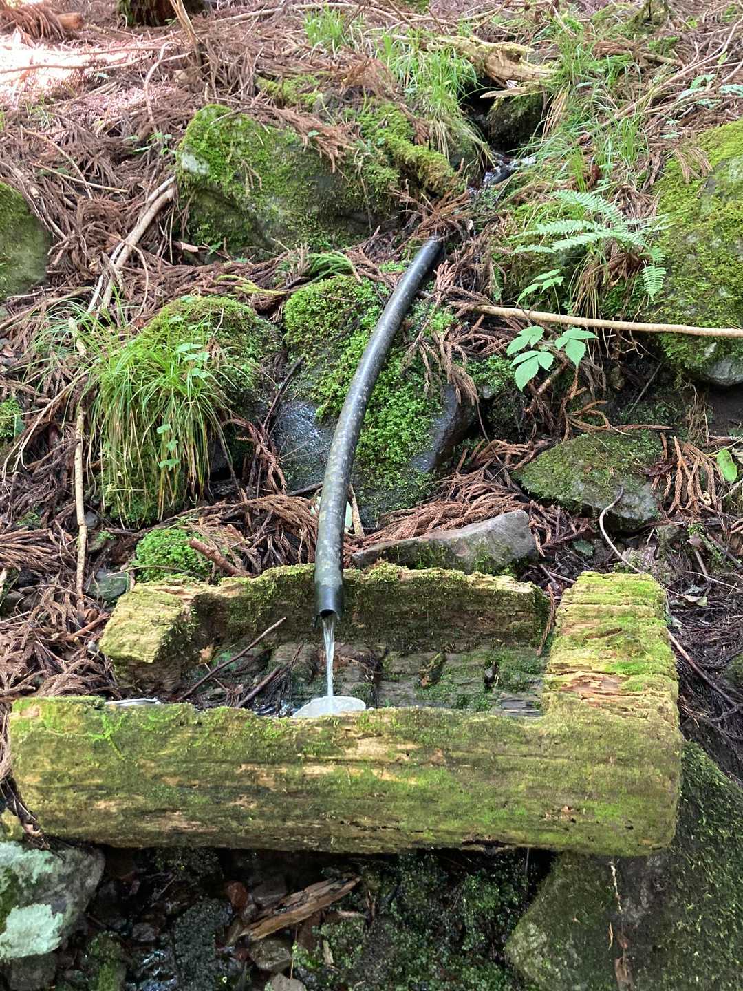 お助け水
おいしくて2杯がぶ飲み
