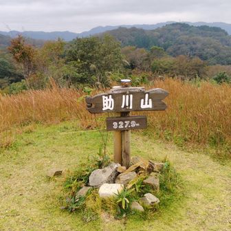 助川山山頂！
少し風あり
遠くに高鈴山山頂が見える