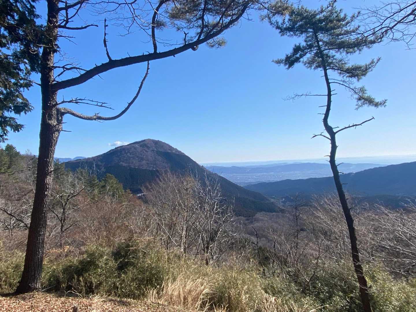 矢倉岳