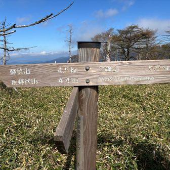 左へ戻りますが、トレランの方々は右に行ってました