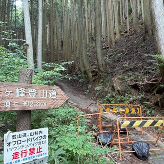 平尾登山口駐車場（無料、15台、トイレ無し）は🈵
空きスペースにも🏍️があって、Uターンするのもやりにくい💦
少し下がった川沿いのポケットみたいな場所（車のすれ違いに邪魔にならない場所）に上手く停められた🚐