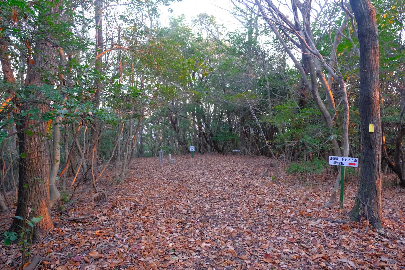 初日の出を見届けたのち、本峰の三角点が置かれた地点にも足を運んでみた。山頂広場から同所までは歩いて５分とかからないが、周囲は木立に閉ざされており、展望は得られない。