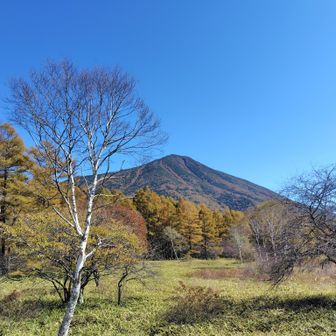 戦場ヶ原