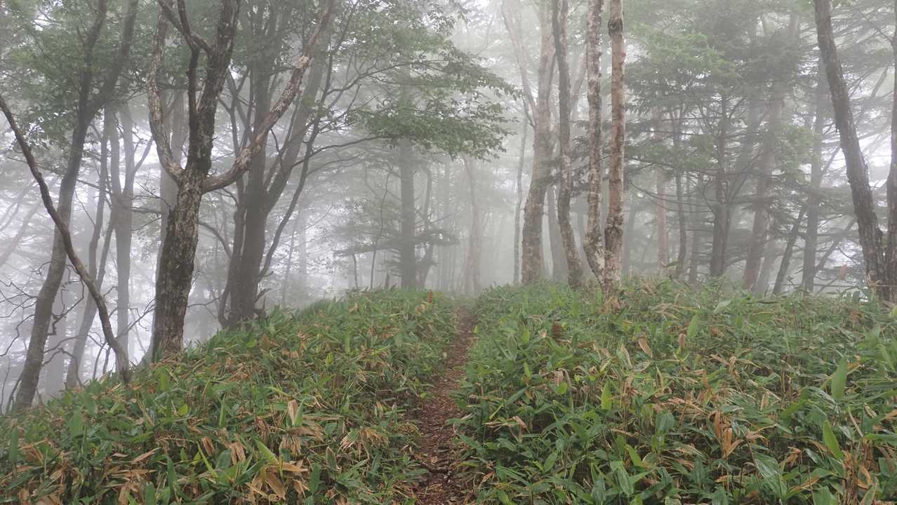 中央分水嶺トレイル（長門牧場〜白樺湖〜八島湿原〜三峰山〜美ヶ原）、2daysスルーハイク の写真 26