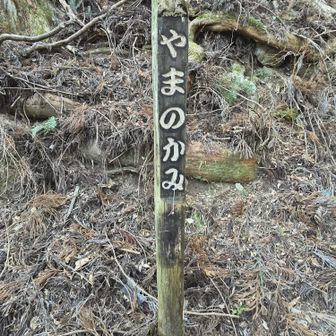 下山は滝本駅まで歩きましたが、新しい発見沢山。
こんな道標が何ヶ所かありました