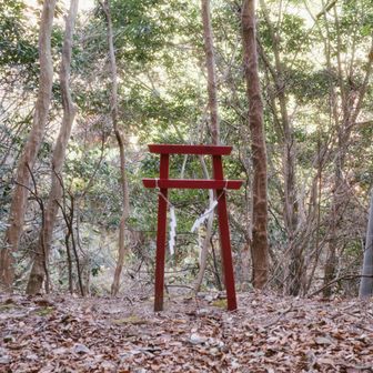 この鳥居が見えたら行き過ぎよ
間違えてるからね🙃🙃