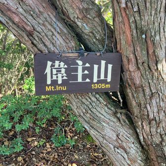 偉主山は岩山