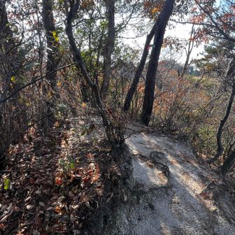 少し降ったところに
29　中の山　196.0m
No.32