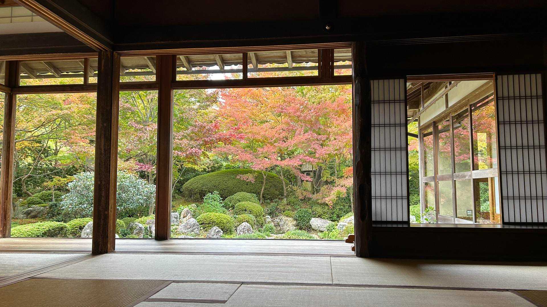 京都一周トレイル（二ノ瀬〜京見峠）の写真