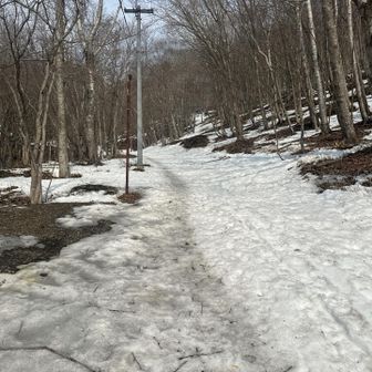 駐車場一番乗り🅿️
ここからスタート