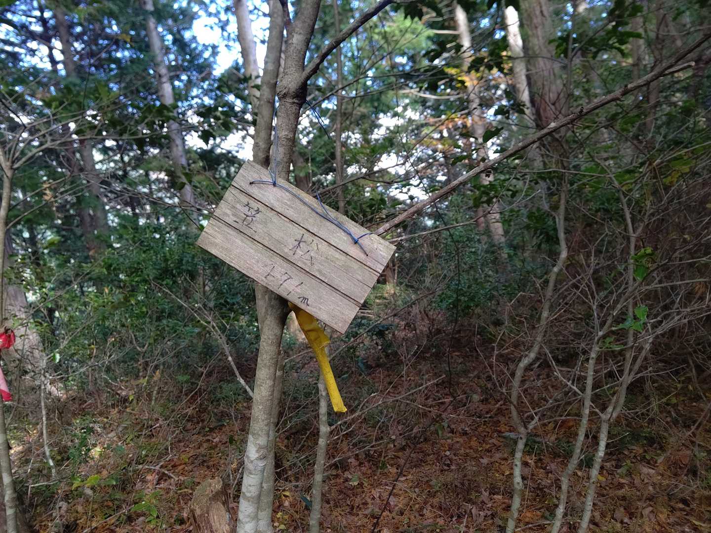笠松山に到着✌
眺望はナシ