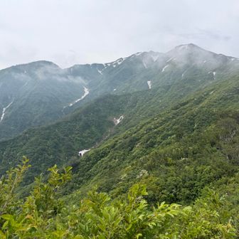山頂が見えた🙌