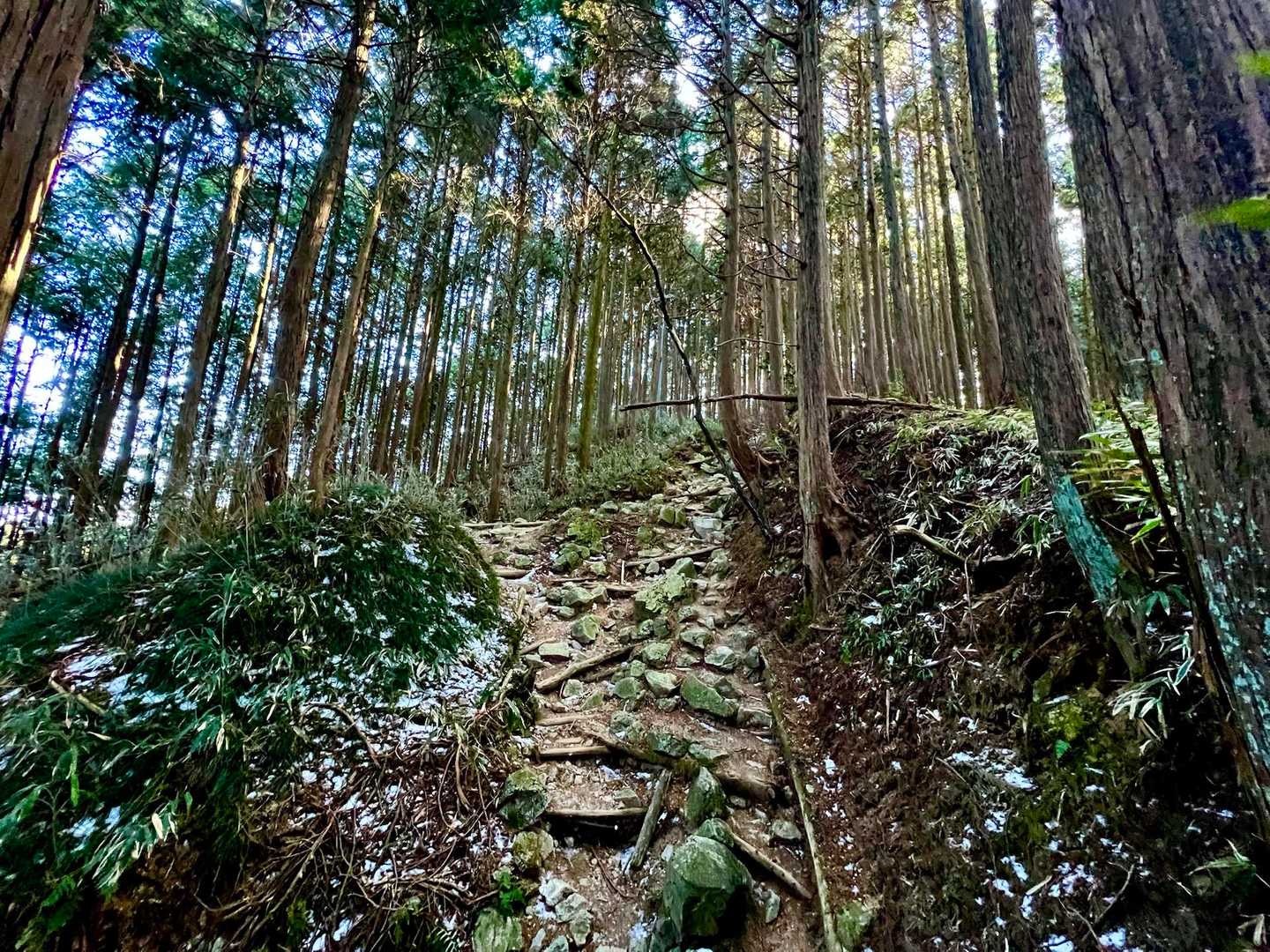 水越峠登山口-金剛山 往復コースの写真