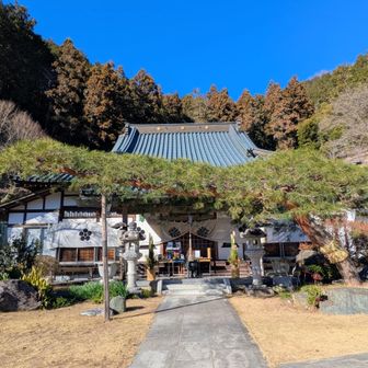 こちらが長学寺🙏 境内には前田家歴代の墓標や樹齢600年の大イチョウ(台風で折れて根元だけ)など、見どころがたくさんあります。