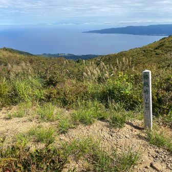 椿越峠

ここから椿に下山できるんやね👀