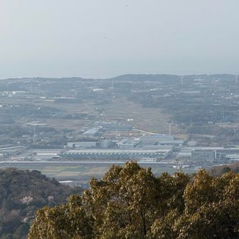 今日は大事な食事会　帰りましょ