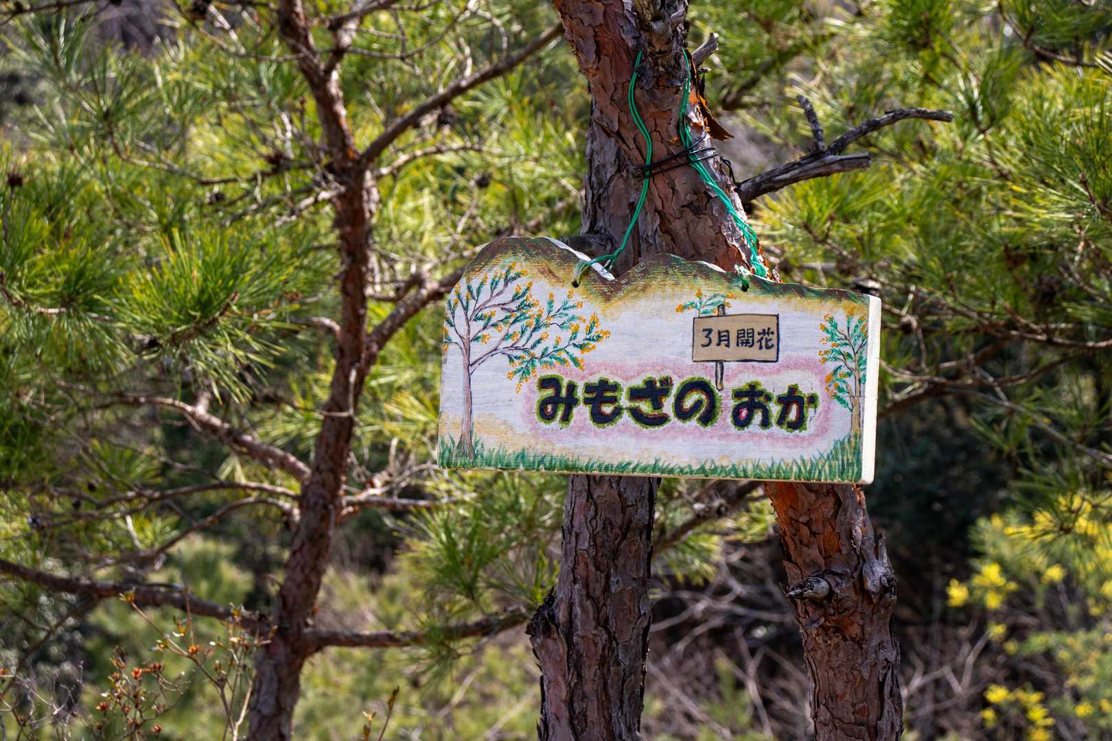 すごく洒落た看板ですね。