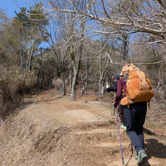 だるま山レストハウスからすぐにトレイルに入れるなんて知らなかった