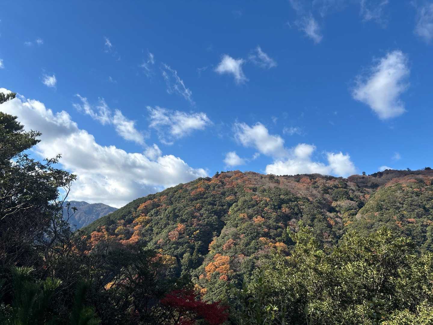 尾高観音-尾高山 周回コースの写真