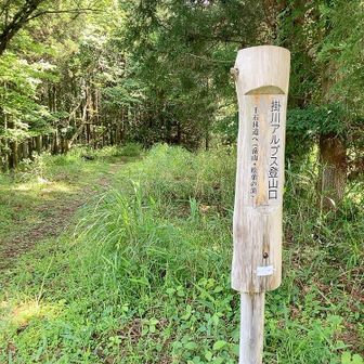 屋久島から帰ってから、何にもしてないなあ、