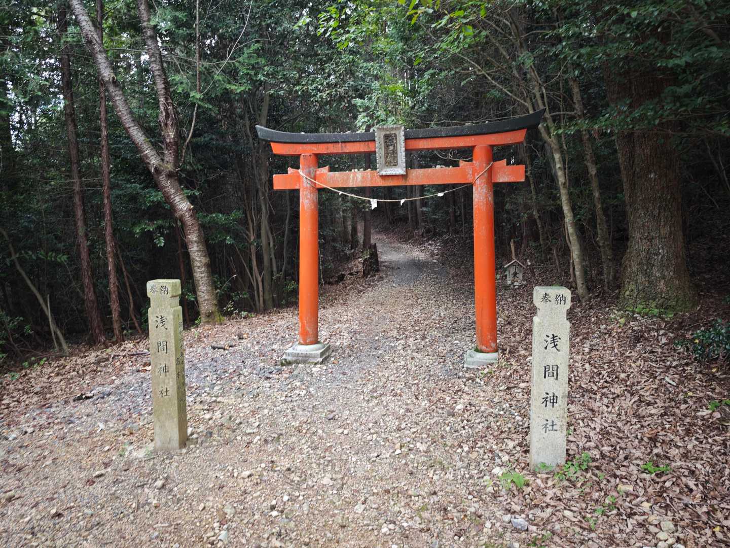浅間山 往復コースの写真