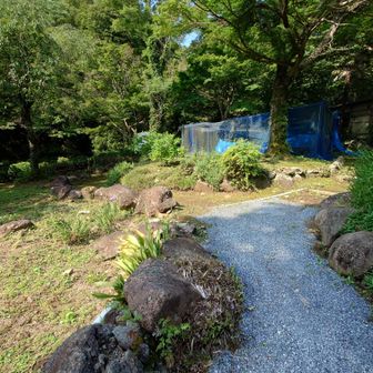 ブルーシートや建物が見えたんで、それを避けようと、ここは左に下りました。