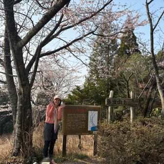 桜の下で写真撮れてハッピー🎶