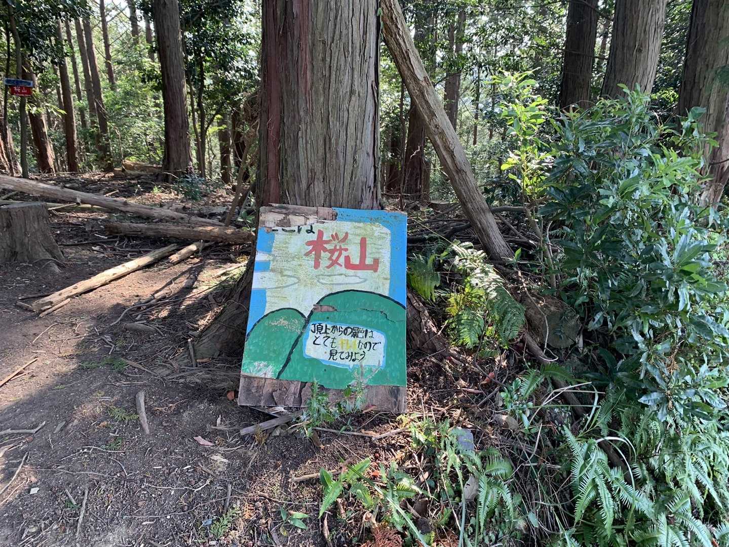 皇大神宮下バス停-さくら山-白山 往復コースの写真