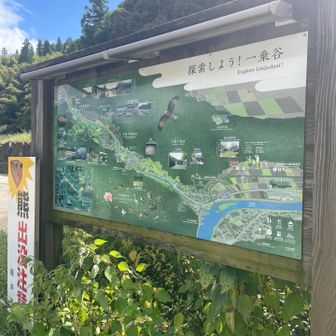 一乗谷は初めて来ました
