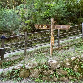 石子詰登山口(滝道)を通過！
