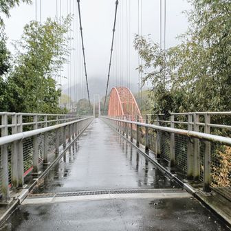 三井大橋を渡って花の苑地へ向かいバスで橋本駅へ

車道の脇に歩行者用の立派な橋がありました

「かたくりの里」からは先は、ほぼ雨でしたがこの辺りがホームのメンバーさんが近道を案内してくれてスムーズに歩くことができました。

